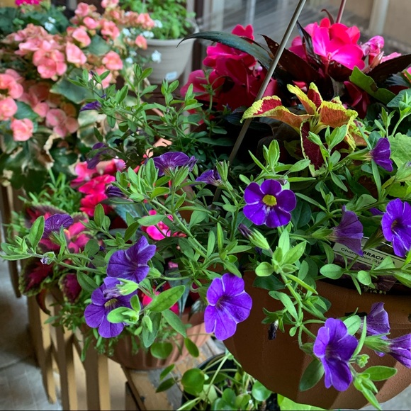 Meet your Posher, Robyn - Picture 1 of 1